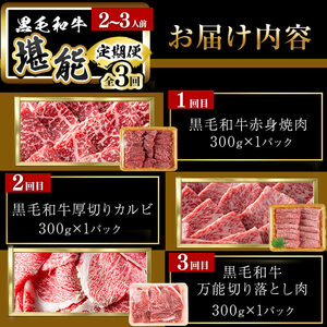 【定期便全3回】＜A4・A5等級＞黒毛和牛堪能〈お試し〉定期便（2～3人分）総重量900g 鹿児島県産 黒毛和牛 和牛 肉 牛肉 国産 九州産 鹿児島県産 焼肉 焼き肉 BBQ ランキング 人気 A4 A5 赤身 切り落とし カルビ お楽しみ 食べ比べ 2人前 3人前 t0035-002
