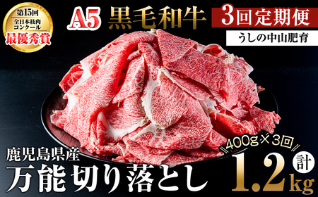 【定期便全3回】＜A4・A5等級＞黒毛和牛堪万能切り落とし肉 計1.2kg（400g×1P・全3回） 黒毛和牛 和牛 切り落とし 肉 牛肉 国産 九州産 鹿児島県産 すき焼き しゃぶしゃぶ 牛丼 小分け A5 日本一 ランキング 人気 定期便 t0039-005