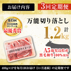 【定期便全3回】＜A4・A5等級＞黒毛和牛堪万能切り落とし肉 計1.2kg（400g×1P・全3回） 黒毛和牛 和牛 切り落とし 肉 牛肉 国産 九州産 鹿児島県産 すき焼き しゃぶしゃぶ 牛丼 小分け A5 日本一 ランキング 人気 定期便 t0039-005