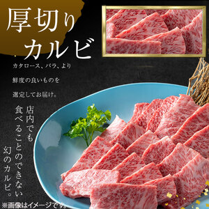 ＜A4・A5等級＞鹿児島県産黒毛和牛 うしの中山 焼き肉用厚切りカルビ 計1kg(500g×2P) 鹿児島県産 黒毛和牛 和牛 カルビ 肉 牛肉 国産 九州産 焼肉 BBQ 小分け A5 A4 日本一 ランキング 人気 c4-016