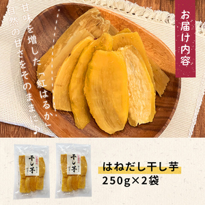 【訳あり】はねだし干し芋 (計500g/250g×2袋) さつまいも さつま芋 芋 ほしいも 干しいも 紅はるか 国産 九州産 鹿児島県産 小分け スイーツ 干し芋 熟し芋 人気 常温 常温保存 メール便 p5-052
