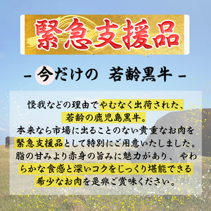【緊急支援品】【訳あり】黒毛和牛万能切り落とし肉 計1kg（500g×2P）鹿児島県産 黒毛和牛 和牛 切り落とし 肉 牛肉 国産 九州産 赤身 薄切りすき焼き しゃぶしゃぶ カレー 小分け 煮込み 訳あり 訳アリ 切落し a1-143