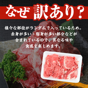 【緊急支援品】【訳あり】黒毛和牛万能切り落とし肉 計1kg（500g×2P）鹿児島県産 黒毛和牛 和牛 切り落とし 肉 牛肉 国産 九州産 赤身 薄切りすき焼き しゃぶしゃぶ カレー 小分け 煮込み 訳あり 訳アリ 切落し a1-143