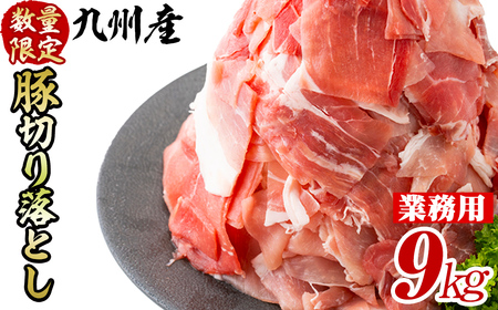豚肉 切り落し 9kg 【工場直送 業務用】 九州産豚切り落とし＜計9kg(300g×30P)＞ 肉 国産 豚肉 切り落とし 国産 九州産 小分け 真空パック しゃぶしゃぶ c0-137