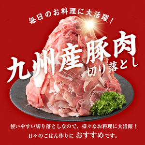 豚肉 切り落し 9kg 【工場直送 業務用】 九州産豚切り落とし＜計9kg(300g×30P)＞ 肉 国産 豚肉 切り落とし 国産 九州産 小分け 真空パック しゃぶしゃぶ c0-137