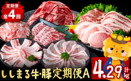 【定期便全4回】ししまる牛・豚定期便A(4ヶ月連続・計4.29kg以上) 黒毛和牛 黒豚 国産牛 九州産 豚 豚肉 肉 牛肉 国産 小分け 真空包装 冷凍 t0044-007
