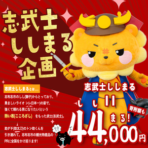 【定期便全4回】ししまる牛・豚定期便A(4ヶ月連続・計4.29kg以上) 黒毛和牛 黒豚 国産牛 九州産 豚 豚肉 肉 牛肉 国産 小分け 真空包装 冷凍 t0044-007