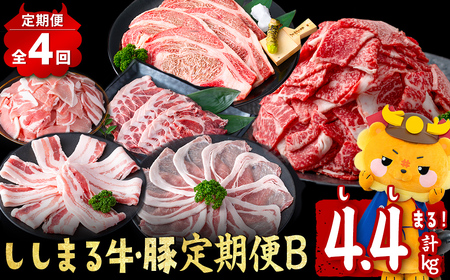 【定期便全4回】ししまる牛・豚定期便B(4ヶ月連続・計4.4kg) 黒毛和牛 国産牛 九州産 豚 豚肉 肉 牛肉 国産 4等級 小分け 真空包装 冷凍 t0051-002