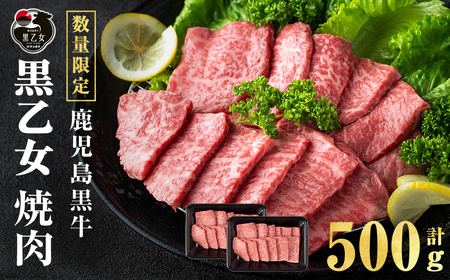 鹿児島黒牛 黒乙女 モモ焼肉 (計500g・250g×2P) 牛肉 焼肉 国産 肉 鹿児島県産 モモ肉 黒乙女 a3-234