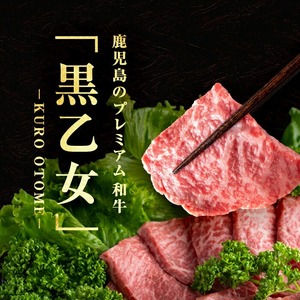 鹿児島黒牛 黒乙女 モモ焼肉 (計500g・250g×2P) 牛肉 焼肉 国産 肉 鹿児島県産 モモ肉 黒乙女 a3-234