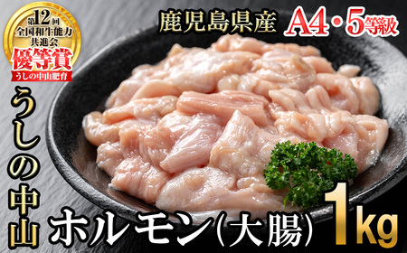 うしの中山 A4・A5等級黒毛和牛 ホルモン（大腸） 計1kg（500g×2袋）黒毛和牛 和牛 肉 牛肉 国産 九州産 鹿児島県産 ホルモン 焼肉 日本一 a5-347