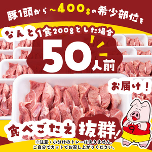 【訳あり】希少部位！！国産豚サガリ(5kg×2P 計10kg) 国産 豚肉 豚肉 豚 肉 冷凍 10kg 訳あり 業務用 サガリ つまみ おつまみ 炒め物 焼肉 BBQ 赤身 カレー シチュー 煮込み ハラミ c0-136