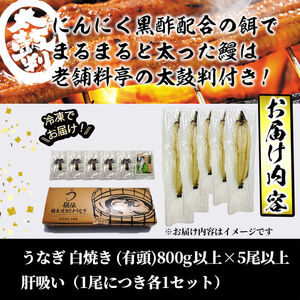 【訳あり】鹿児島県産!秘伝の特上スタミナうなぎ白焼き<計800g以上/5尾以上>肝吸いセット! d1-008