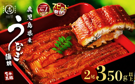 【志布志市制20周年記念】【10営業日以内に発送】鹿児島県産うなぎ蒲焼 名水慈鰻 2尾（1尾あたり140～210g・計350g以上）うなぎ 鰻 ウナギ 2尾 国産 蒲焼 かばやき 冷凍 真空 真空パック 無頭 うな重 ひつまぶし タレ 山椒 a3-236