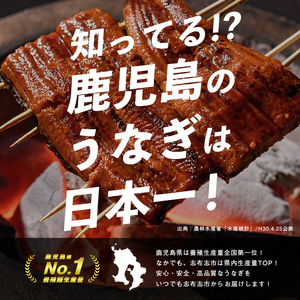 【志布志市制20周年記念】【10営業日以内に発送】鹿児島県産うなぎ蒲焼 名水慈鰻 2尾（1尾あたり140～210g・計350g以上）うなぎ 鰻 ウナギ 2尾 国産 蒲焼 かばやき 冷凍 真空 真空パック 無頭 うな重 ひつまぶし タレ 山椒 a3-236