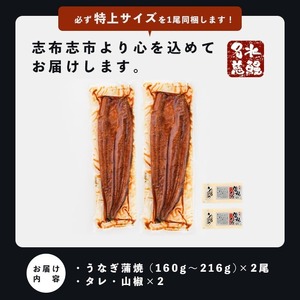 【志布志市制20周年記念】【10営業日以内に発送】鹿児島県産うなぎ蒲焼 名水慈鰻 2尾（1尾あたり140～210g・計350g以上）うなぎ 鰻 ウナギ 2尾 国産 蒲焼 かばやき 冷凍 真空 真空パック 無頭 うな重 ひつまぶし タレ 山椒 a3-236