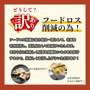 【訳あり】鹿児島県大隅産！楠田の極うなぎ白焼き 10尾(計2.7kg以上・1尾あたり270g～299g) 国産 鹿児島県産 鰻 真空 冷凍 白焼き うなぎ 訳あり wa0-004