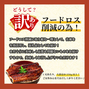 【訳あり】楠田の極うなぎ蒲焼き10尾(計2.5kg以上・1尾あたり250g～289g)&nbsp; 山椒付たれ 鰻 ウナギ 蒲焼 うな重 ひつまぶし 鹿児島 冷凍 おかず お祝い 訳あり j7-002