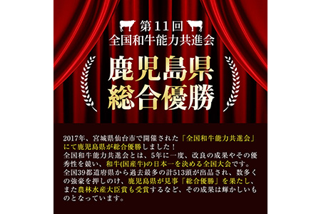 4等級以上の国産牛肉！鹿児島黒毛和牛高級部位 800g b5-175