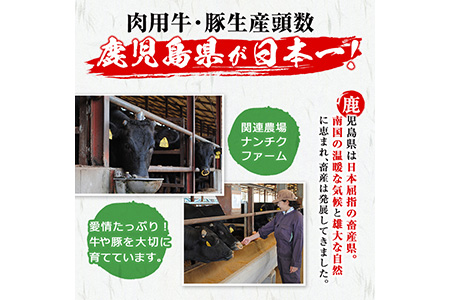 4等級以上の国産牛肉！鹿児島黒毛和牛高級部位 800g b5-175