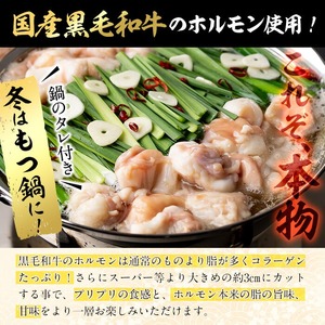 国産黒毛和牛ホルモン もつ鍋セット(6～9人前)  黒毛和牛 肉 牛肉 国産 もつ鍋 モツ鍋 ホルモン タレ 鍋 焼肉 バーべキュー 小分け a4-100