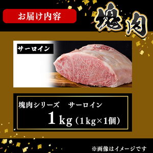 塊肉シリーズ サーロイン 計1kg(1kg×1個) wa42-001