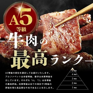 【小分け】＜A5等級＞鹿児島県産 黒毛和牛 牛肉 赤身 焼肉 (200g×3P/計600g) a5-362