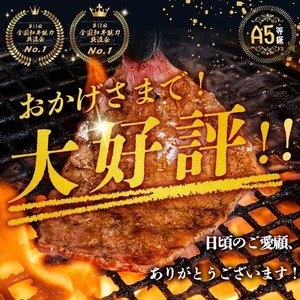 【小分け】＜A5等級＞鹿児島県産 黒毛和牛 牛肉 赤身 焼肉 (200g×3P/計600g) a5-362
