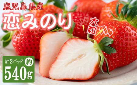 【数量限定】鹿児島県産朝採れイチゴ「恋みのり」約540g(約270g×2パック) p7-048