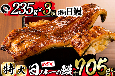 日ノ本一の鰻の蒲焼き＜特大＞3尾セット(計705g以上) うなぎ 鰻 ウナギ 国産 鹿児島県産 九州産 蒲焼き 冷凍 うな重 ひつまぶし c2-009