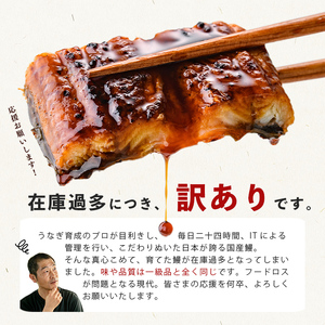 【訳あり・期間設定!】《800g 18,000円》国産 カット 鰻 蒲焼 計800g(80g×10P) 八本木樽醤油 うなぎ unagi カットうなぎ 九州産 蒲焼き 冷凍 うな丼 うな重 ランキング 人気 a8-099