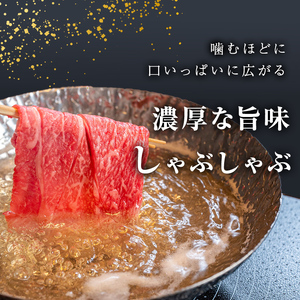 【志布志市制20周年記念】【小分け】<A5等級>鹿児島県産黒毛和牛 霜降スライス(200g×4パック/計800g) 牛肉 肉 鹿児島県産 国産 小分け すき焼き しゃぶしゃぶ 黒毛和牛 スライス 小分け 牛しゃぶ A5 霜降り 高級 全国和牛能力共進会 a7-030