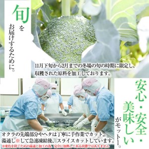 鹿児島県産 冷凍ブロッコリー(計1.2kg) ブロッコリー 野菜 冷凍 カット カット野菜 国産 簡単 手軽 サラダ 味噌汁 スープ お弁当 a1-039