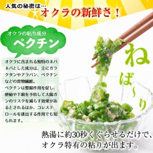 【数量限定】鹿児島県産 冷凍オクラスライス150g×6袋(900g) オクラ 野菜 冷凍 カット カット野菜 国産 簡単 手軽 サラダ 味噌汁 スープ a1-040