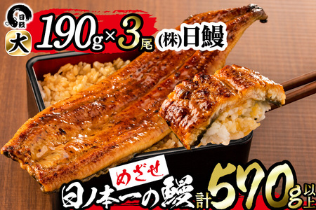 日ノ本一の鰻の蒲焼き＜大＞3尾セット(計570g以上) b8-022