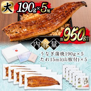 日ノ本一の鰻の蒲焼き＜大＞5尾セット(計950g以上) d2-004