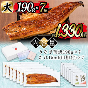 日ノ本一の鰻の蒲焼き＜大＞7尾セット(計1,330g以上) うなぎ 鰻 ウナギ 国産 鹿児島県産 九州産 蒲焼き 冷凍 うな重 ひつまぶし f0-034