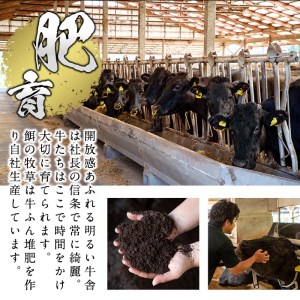 【鹿児島県産】徳重さんのA5黒毛和牛ヒレステーキ2種盛(計480g) b6-015