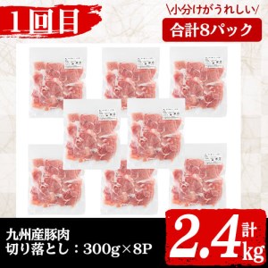 【定期便・全3回】九州産豚肉定期便＜3ヵ月連続・毎回2kg以上・合計9.1kg以上＞ t0041-001