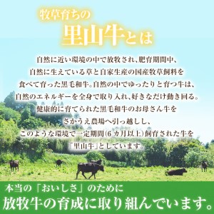 国産黒毛和牛 牧草育ちの里山牛 ローストビーフ用ブロック肉計500g 黒毛和牛 和牛 肉 牛肉 国産 ローストビーフ ブロック 赤身 a9-020