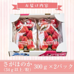 a4-040 1粒34g以上の大粒いちご さがほのか 計600g(300g×2パック)