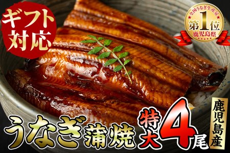 b5-129 【ギフト対応】くすだ屋の極上うなぎ(特大)4尾<計680g以上>