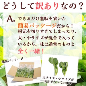 【数量限定・訳あり】志布志湾ほうれん草(200g×5袋 合計1kg) サラダ おひたし お味噌汁 スムージー ほうれん草 ジュース ほうれんそう p7-034