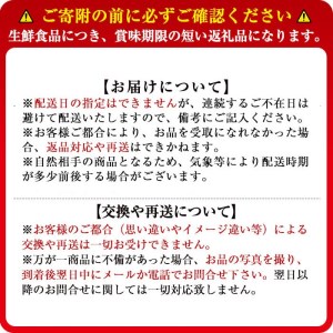 【数量限定・訳あり】志布志湾ほうれん草(200g×5袋 合計1kg) サラダ おひたし お味噌汁 スムージー ほうれん草 ジュース ほうれんそう p7-034