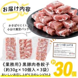 【訳あり・業務用】お肉屋さんの黒豚肉巻餃子 計30個(10個入×3袋) a1-009