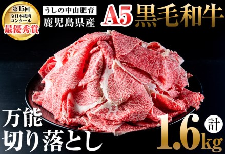 b5-138 ＜A5等級＞鹿児島県産黒毛和牛万能切り落とし 計1.6kg(400g×4P)