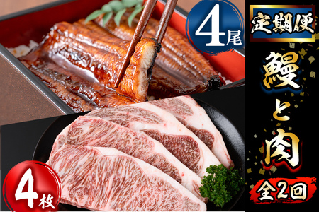 【定期便全2回】鰻と肉の定期便!ステーキ4枚と鰻蒲焼4尾をお届け! t0054-004