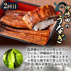 【定期便全2回】鰻と肉の定期便!ステーキ4枚と鰻蒲焼4尾をお届け! t0054-004