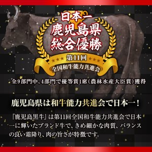 b0-116 鹿児島黒牛サーロインステーキ2枚セット 計400g