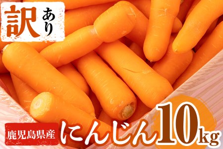 p8-104 【訳あり・期間限定・数量限定】鹿児島県産にんじん10kg